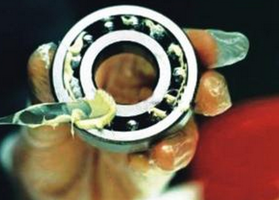 ��Ӫ��֬����